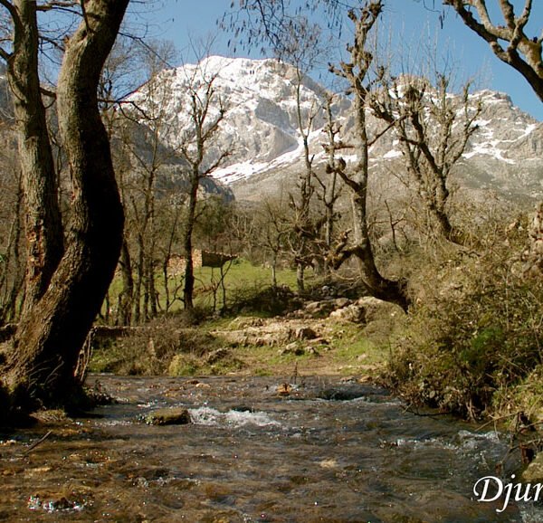 PAYSAGE feerique 600x578