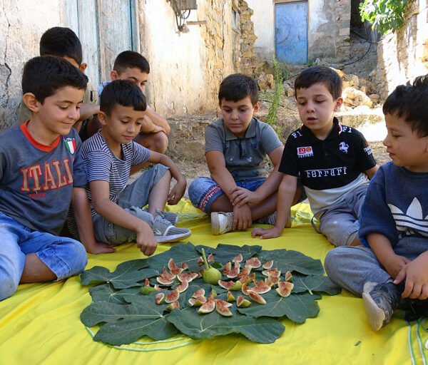 TIMENFARRETS 600x512