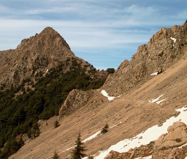 Paysage de montagne 600x512