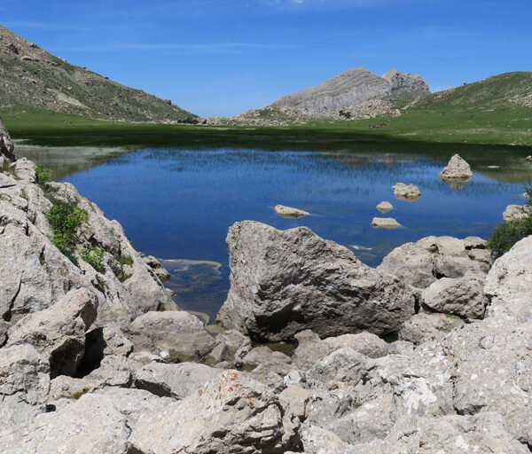 Tamda uglmim 600x512