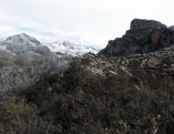 Temps hivernal 600x461