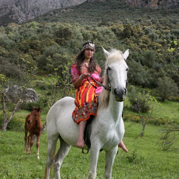 Au pied de la montagne 600x600